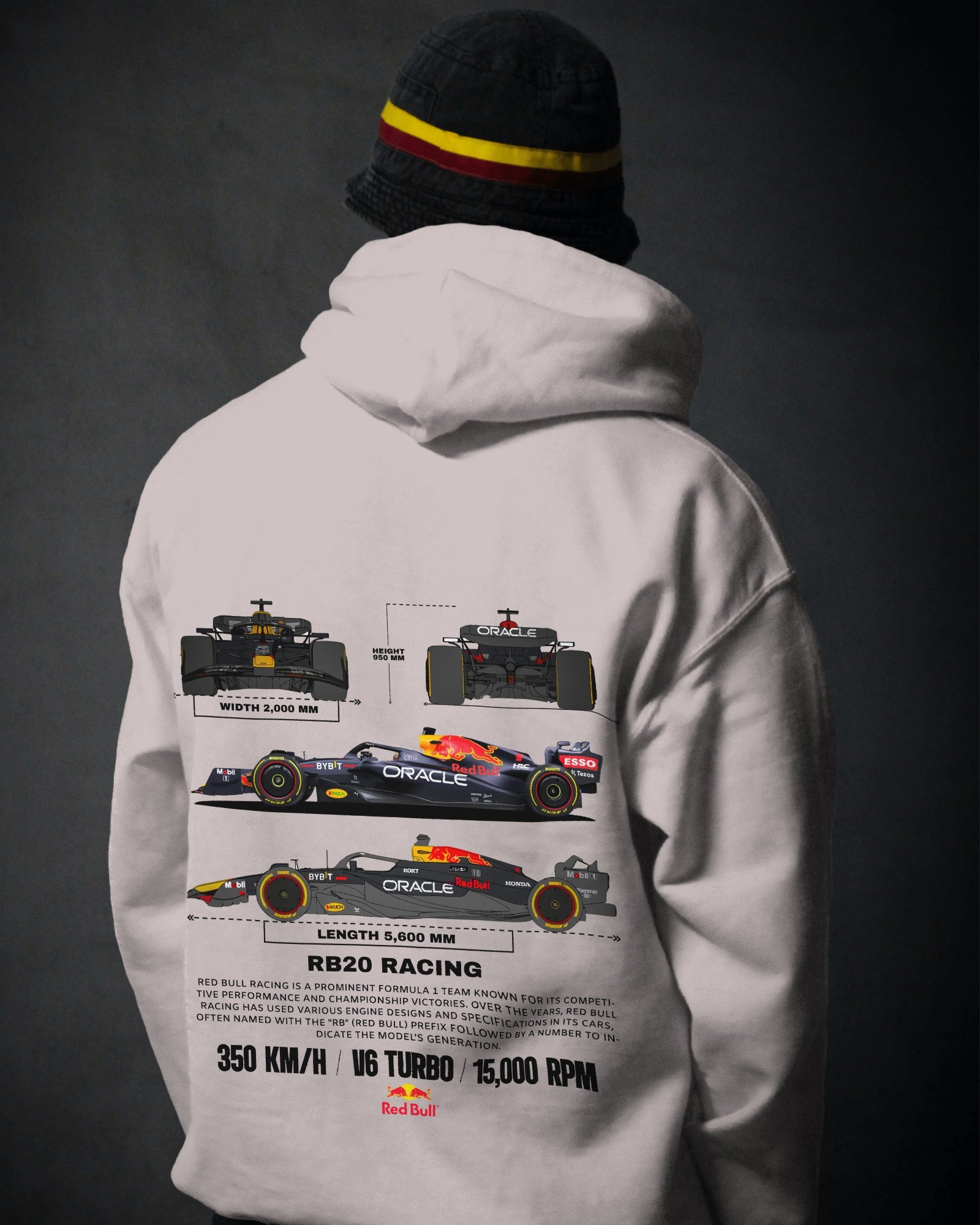 Red Bull RB20 Racing Premium F1 Cotton Hoodie